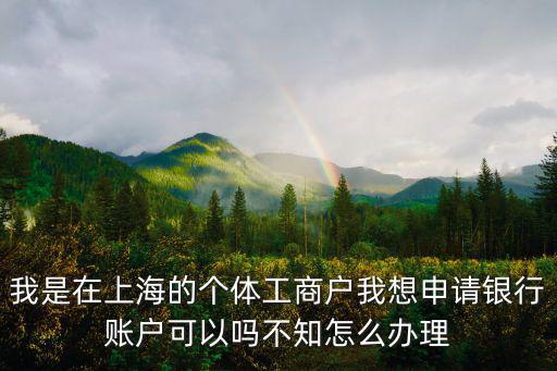 我是在上海的個(gè)體工商戶我想申請(qǐng)銀行賬戶可以嗎不知怎么辦理