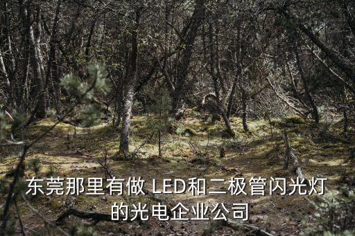 東莞明朗光電，東莞那里有做 LED和二極管閃光燈 的光電企業(yè)公司