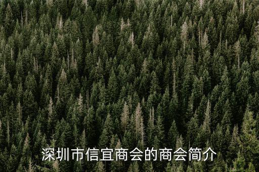 深圳市信宜商會的商會簡介