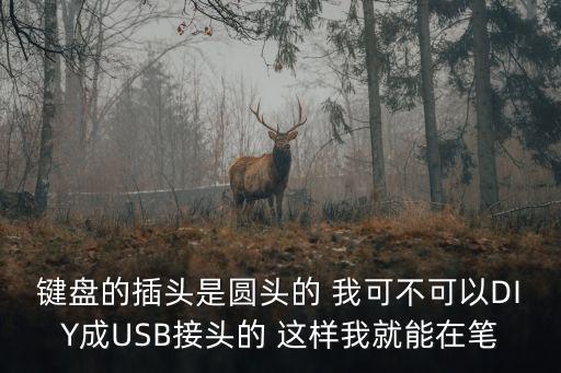 鍵盤的插頭是圓頭的 我可不可以DIY成USB接頭的 這樣我就能在筆