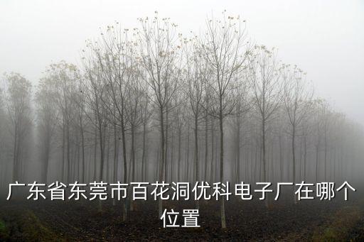 廣東省東莞市百花洞優科電子廠在哪個位置