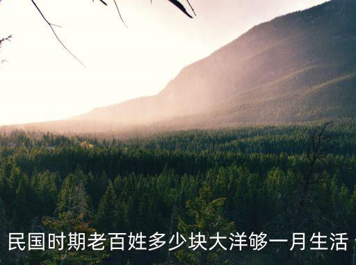 民國時期老百姓多少塊大洋夠一月生活