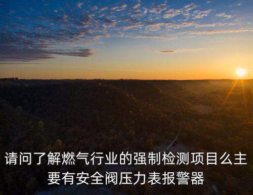 請(qǐng)問(wèn)了解燃?xì)庑袠I(yè)的強(qiáng)制檢測(cè)項(xiàng)目么主要有安全閥壓力表報(bào)警器
