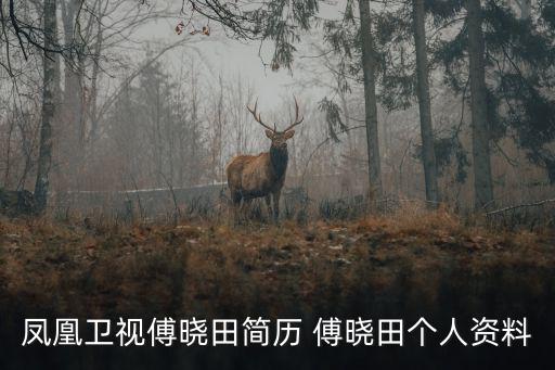 鳳凰衛(wèi)視傅曉田簡歷 傅曉田個人資料