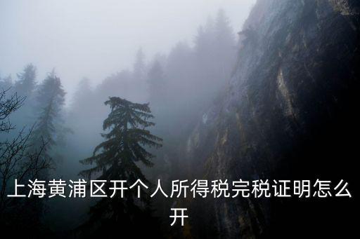上海黃浦區開個人所得稅完稅證明怎么開