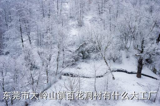 東莞百花洞五金廠，東莞市大嶺山鎮百花洞村有什么大工廠