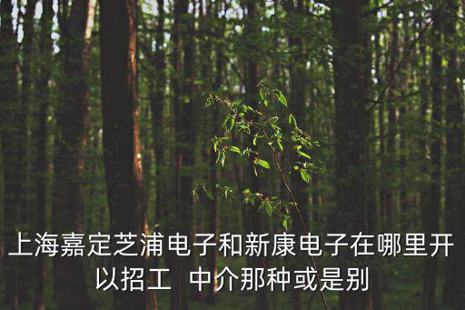 上海嘉定芝浦電子和新康電子在哪里開以招工  中介那種或是別
