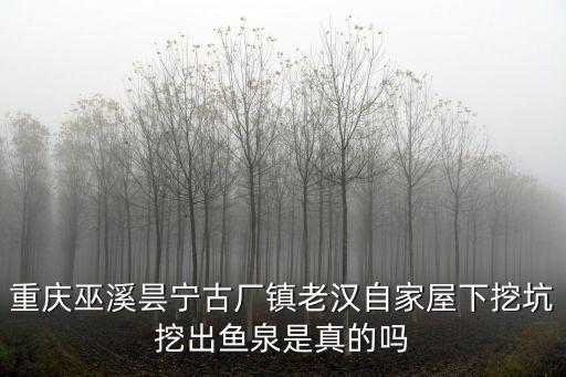 重慶巫溪曇寧古廠鎮老漢自家屋下挖坑挖出魚泉是真的嗎