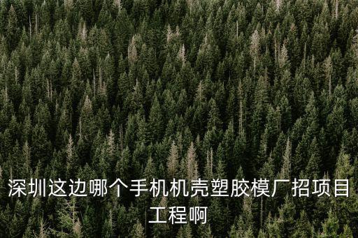 深圳這邊哪個(gè)手機(jī)機(jī)殼塑膠模廠招項(xiàng)目工程啊