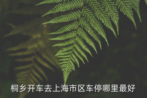 桐鄉開車去上海市區車停哪里最好