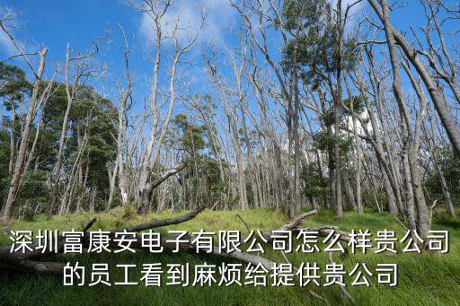 深圳富康安電子有限公司怎么樣貴公司的員工看到麻煩給提供貴公司