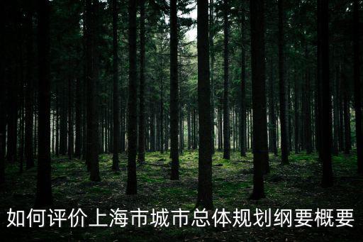 上海市城市總體規劃解讀，上海城市規劃的一主兩軸四翼指什么