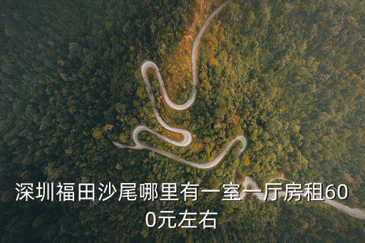 深圳福田沙尾哪里有一室一廳房租600元左右