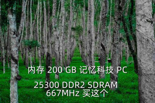 內存 200 GB 記憶科技 PC25300 DDR2 SDRAM 667MHz 買這個