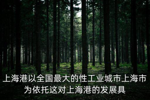上海港以全國最大的性工業城市上海市為依托這對上海港的發展具
