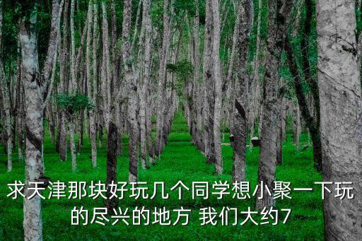 求天津那塊好玩幾個同學想小聚一下玩的盡興的地方 我們大約7