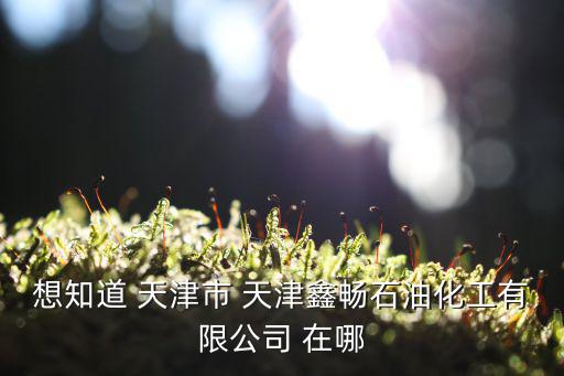 想知道 天津市 天津鑫暢石油化工有限公司 在哪