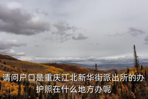 請(qǐng)問(wèn)戶口是重慶江北新華街派出所的辦護(hù)照在什么地方辦呢