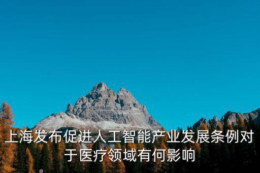 上海發(fā)布促進(jìn)人工智能產(chǎn)業(yè)發(fā)展條例對(duì)于醫(yī)療領(lǐng)域有何影響