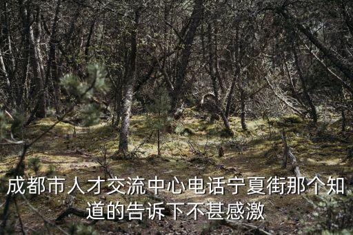 成都市人才交流中心電話寧夏街那個知道的告訴下不甚感激