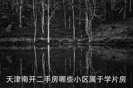 天津南開二手房哪些小區屬于學片房