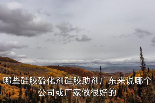 哪些硅膠硫化劑硅膠助劑廣東來說哪個公司或廠家做很好的