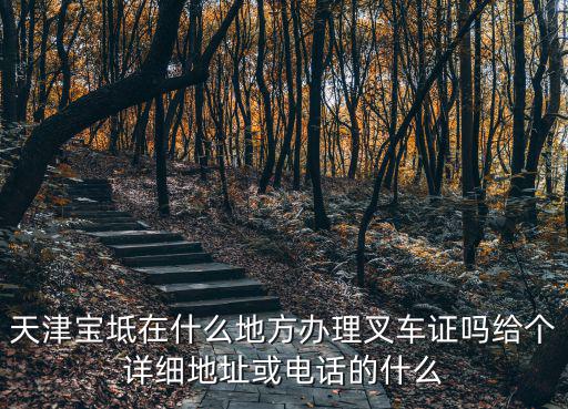 天津?qū)氎嬖谑裁吹胤睫k理叉車證嗎給個(gè)詳細(xì)地址或電話的什么