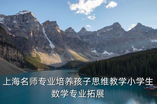 上海名師專業培養孩子思維教學小學生數學專業拓展