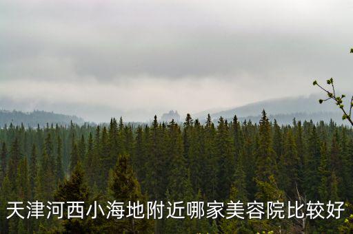 天津河西小海地附近哪家美容院比較好