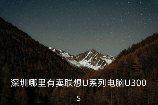 深圳哪里有賣聯想U系列電腦U300s