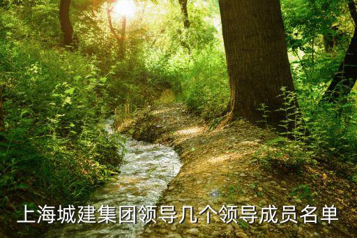 上海城建集團領導幾個領導成員名單