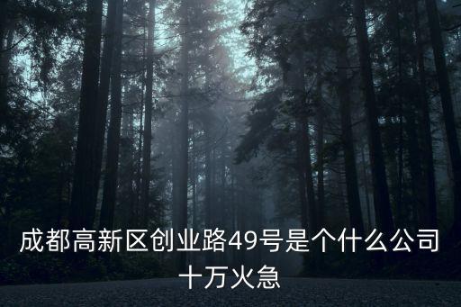 成都市藏寶閣是一個什么樣的公司，成都藏寶閣藝術品鑒定公司靠譜嗎