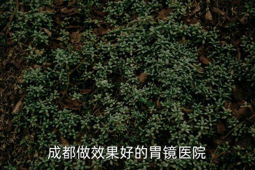 成都市胃鏡醫院，成都做效果好的胃鏡醫院