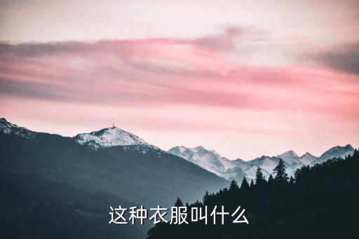 這種衣服叫什么