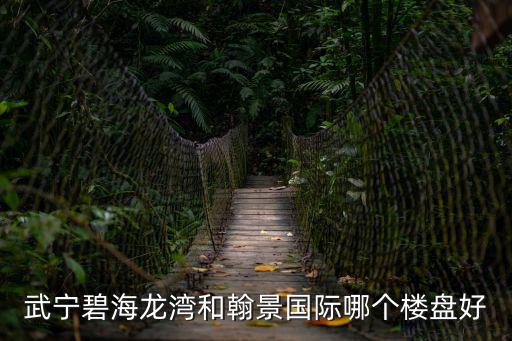 武寧碧海龍灣和翰景國際哪個樓盤好