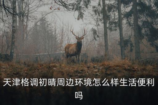 天津格調初晴周邊環境怎么樣生活便利嗎