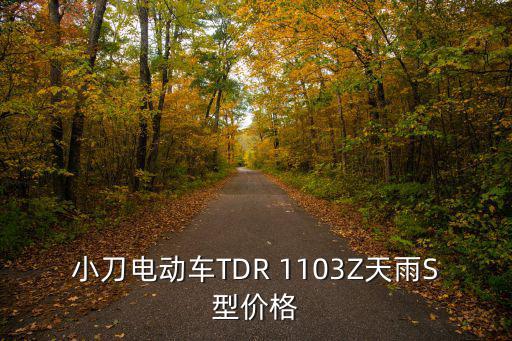 小刀電動車TDR 1103Z天雨S型價格