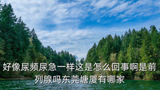 好像尿頻尿急一樣這是怎么回事啊是前列腺嗎東莞塘廈有哪家