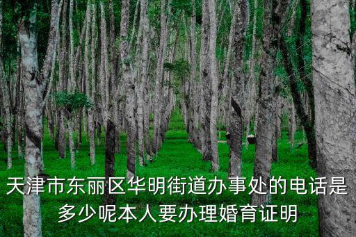天津市東麗區(qū)華明街道辦事處的電話是多少呢本人要辦理婚育證明