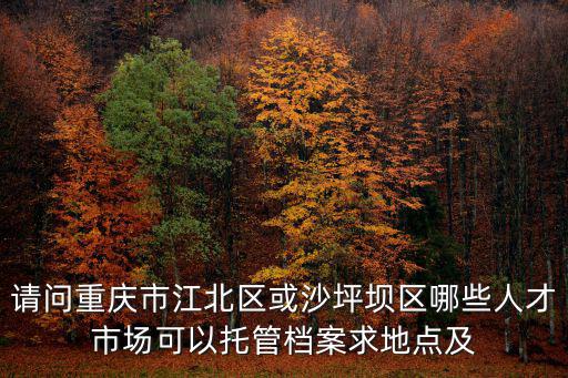 請(qǐng)問(wèn)重慶市江北區(qū)或沙坪壩區(qū)哪些人才市場(chǎng)可以托管檔案求地點(diǎn)及