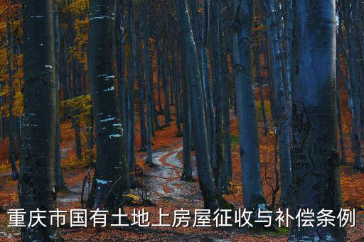 重慶市國有土地上房屋征收與補償條例