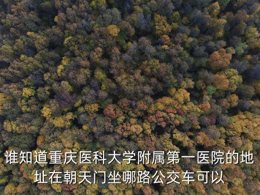 誰知道重慶醫科大學附屬第一醫院的地址在朝天門坐哪路公交車可以