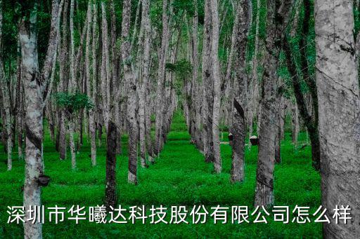 深圳市海源芯微電子有限公司，HS9148B芯片是哪家公司的