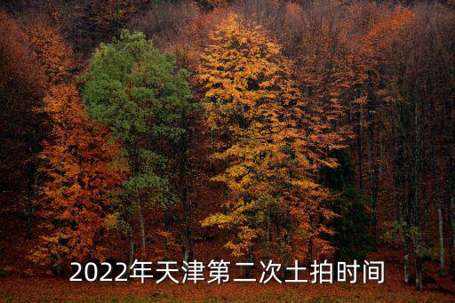 天津市區土拍，2022年天津第二次土拍時間