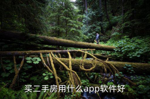 買二手房用什么app軟件好
