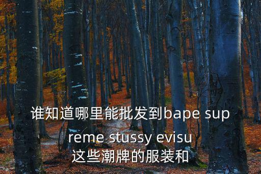 深圳 stussy，stussy 是什么意思