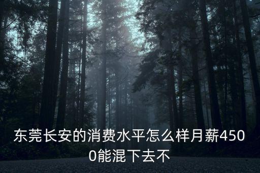 東莞長安的消費水平怎么樣月薪4500能混下去不