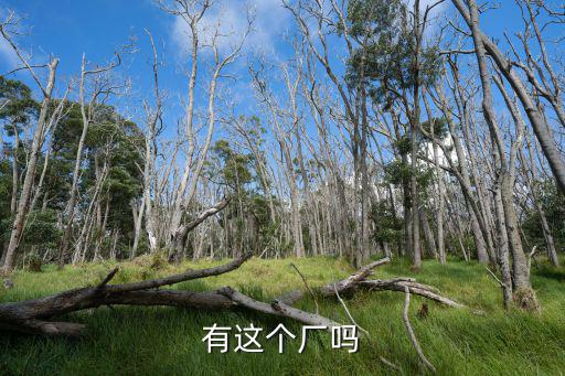 有這個廠嗎