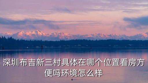 深圳布吉新三村具體在哪個位置看房方便嗎環境怎么樣