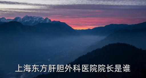 上海東方肝膽外科醫院院長是誰